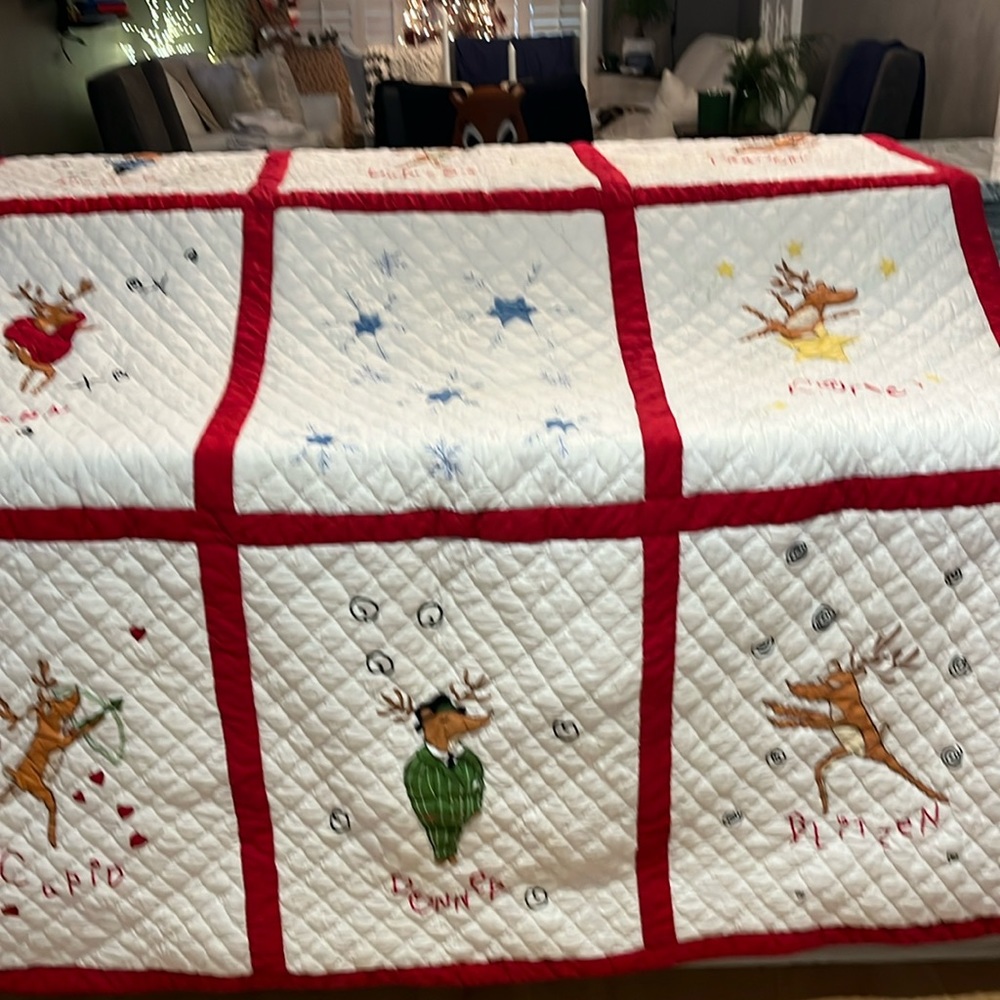 Pottery Barn twin quilt